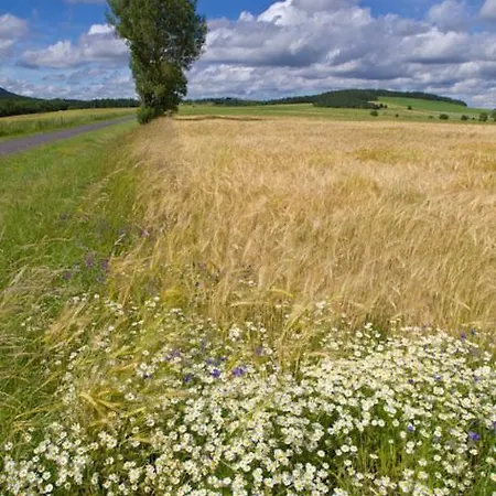 Au Bon Gre D'hugoline לינה וארוחת בוקר