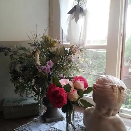 Au Bon Gre D'hugoline לינה וארוחת בוקר Blanzac (Haute Loire)