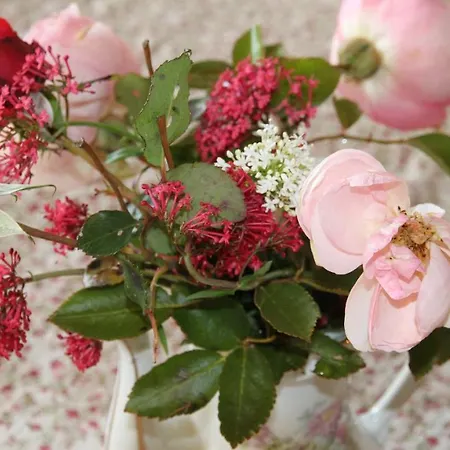 לינה וארוחת בוקר Au Bon Gre D'hugoline